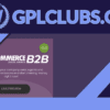 WooCommerce B2B